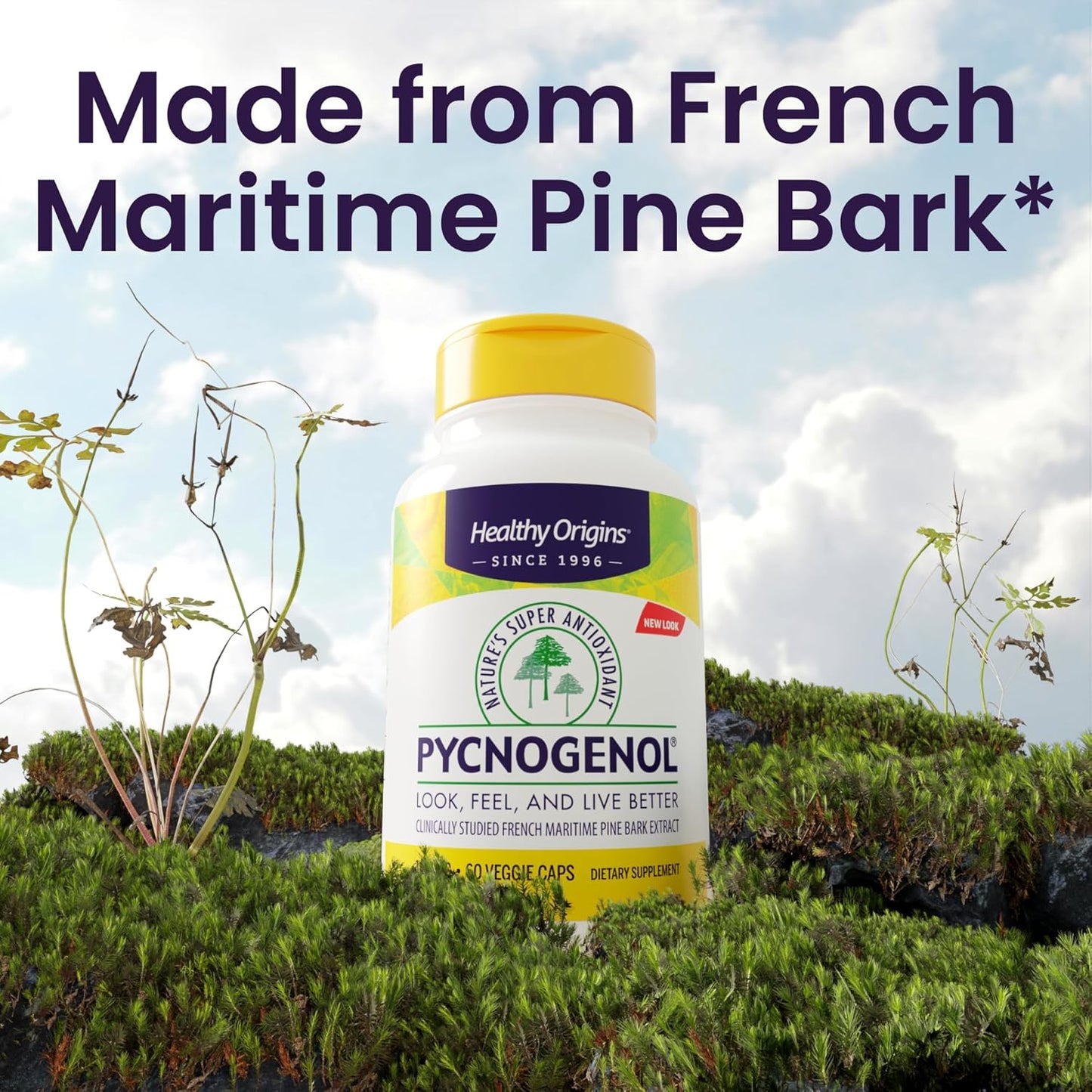 Healthy Origins Pycnogenol 100 mg, Capsules - 100% Clinically Studied French Maritime Pine Bark Extract - Supports Healthy Heart, Joint Health & Skin Elasticity